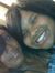 Yasmine...