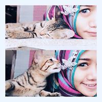 Aurellia Icha