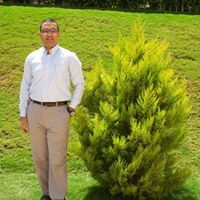 Mohammed Hisham