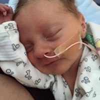 Krystal Lawrence Roets