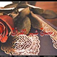 Asmaa Shawkat