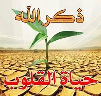 Mabrook Amer