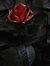 Dark Rose