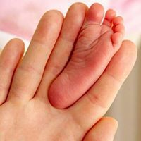 اوطان صغيره