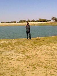 Mustapha Saad Eldeen