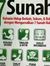 Surya Nur