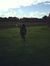 Ailbhe