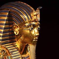 الوالي للاستثمارالعقاري والزراعي