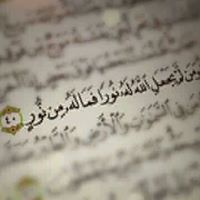 Noor Alsied