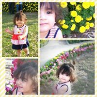 DeDe Rose