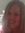 Holly Kilmister | 6 comments
