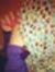 Hafsa A...
