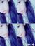 Shiela ...