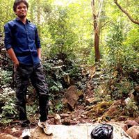 Rohit Kindo