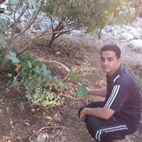 فادي البدراني