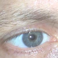 Завьялов Дмитрий