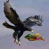 سجين الزكريات