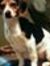 Donna W...