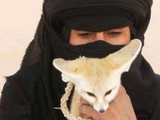 Росен Ангелов