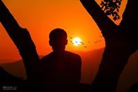 عاصم البرغوثي