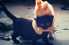 Fatima-Ezzahra Bouroumine