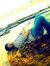 Ashwin ...