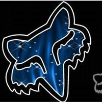 Fox Designerwear