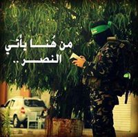 فتاه قساميه