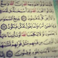 زهرة المدائن