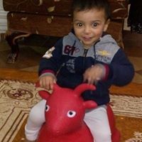 Amr Shaalan