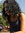 Arzu