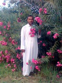 ابونور الاسدي