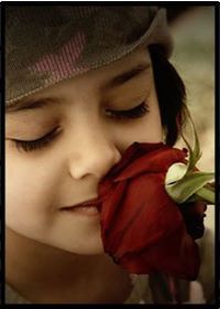 هدوء الرحيل