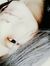 Syifa K...
