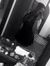 Ally Mizen
