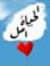 احمد عب...
