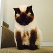Katie