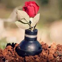 Safy Sayed