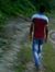স্রোতের...