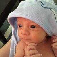 Annsley Labriola