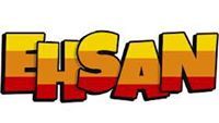Ehsan Raza