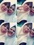 Hanifah...