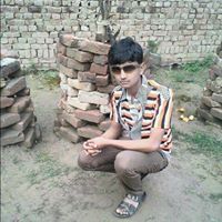 Smart Rana