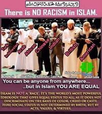 Mohammad Ashraf Salafi