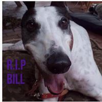 Christopher Lamoureux