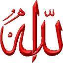 زهرة المصرية