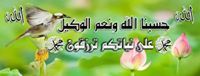 Salma Ashraf