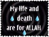 Adam Alhassan