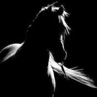 عبدالعزيز الدوسري