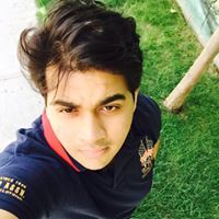 Shaktibhushan Shukla